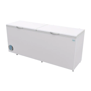 Freezer Comercial FAME F 600DG